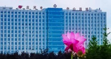 辽宁省庄河市中心医院,2020年招聘医疗、医技、药学等卫生人才