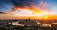 重庆大学附属肿瘤医院,2021年招聘医师、技师、药师、护士等314名卫生人才