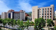大连市中医医院,招聘心内科医师、脑病科医师等人员