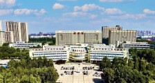 山东省德州市中医院,招聘护士、中医医师等人员