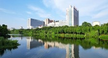 岳阳市人民医院,24年度招聘护士、临床医师等人员